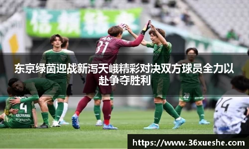 东京绿茵迎战新泻天峨精彩对决双方球员全力以赴争夺胜利