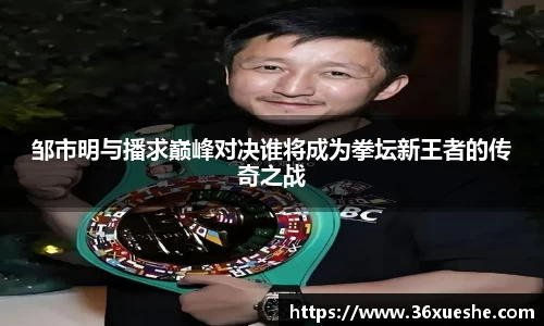 邹市明与播求巅峰对决谁将成为拳坛新王者的传奇之战
